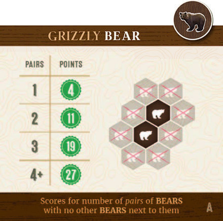 Bear Scoring Image