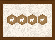 Elk Thumbnail