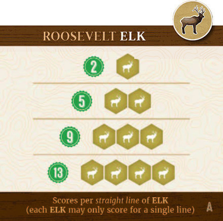 Elk Scoring Image