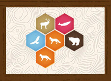 Fox Thumbnail