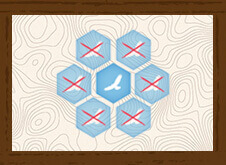 Hawk Thumbnail