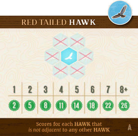 Hawk Scoring Image
