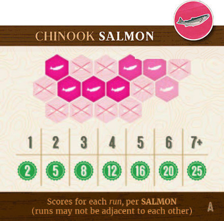 Salmon Scoring Image