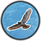 Hawk Token